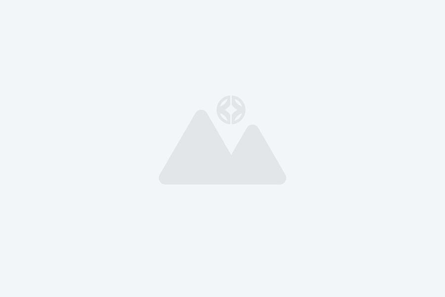 方形5寸人臉掌靜脈識(shí)別終端